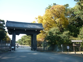 P1140788_s.jpg