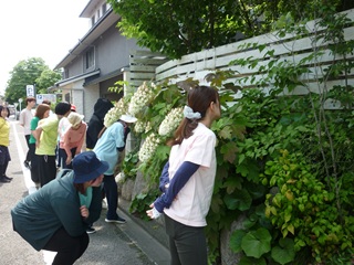 P1150203_s.jpg