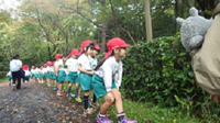 自然観察会＠京都御苑 自然幼稚園